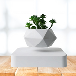Levitating Flower Pot - Magnetic Suspension