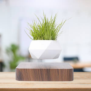 Levitating Flower Pot - Magnetic Suspension