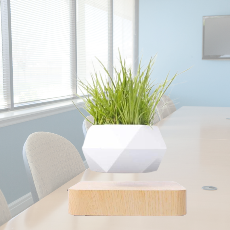 Levitating Flower Pot - Magnetic Suspension