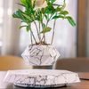 Levitating Flower Pot Grafic - Magnetic Suspension