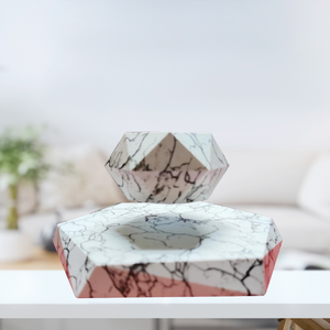 Levitating Flower Pot Grafic - Magnetic Suspension
