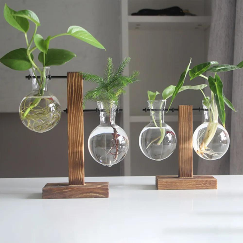 Creative Tabletop Glass Plant Container - Hydroponic Plant