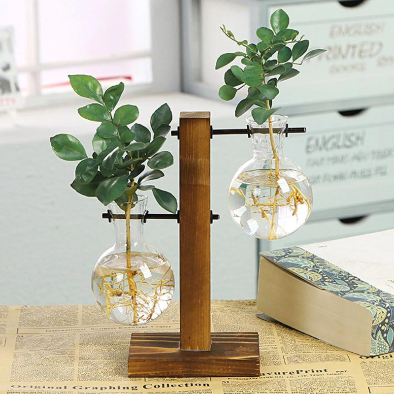 Creative Tabletop Glass Plant Container - Hydroponic Plant