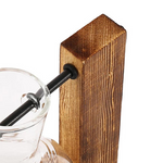 Creative Tabletop Glass Plant Container - Hydroponic Plant