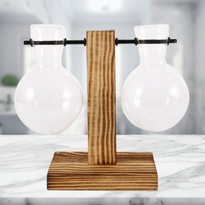 Creative Tabletop Glass Plant Container - Hydroponic Plant