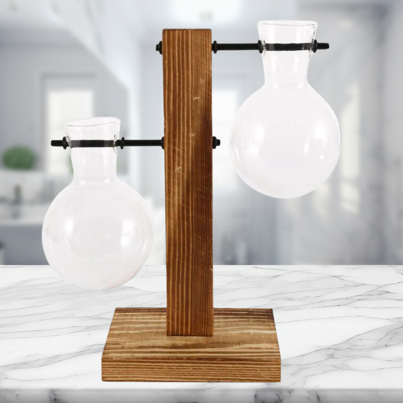 Creative Tabletop Glass Plant Container - Hydroponic Plant
