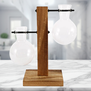 Creative Tabletop Glass Plant Container - Hydroponic Plant