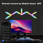 Smart Wall Lamp WIFI LED