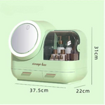Cosmetic Storage Box - Makeup Organizer Mirror LED Soft Light