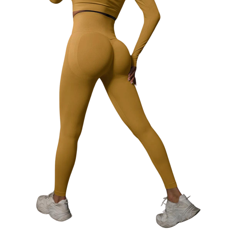 Women Seamless Gym Leggings - High Waist  and Booty Lifting