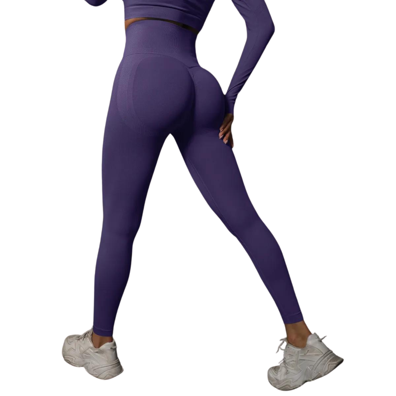 Women Seamless Gym Leggings - High Waist  and Booty Lifting