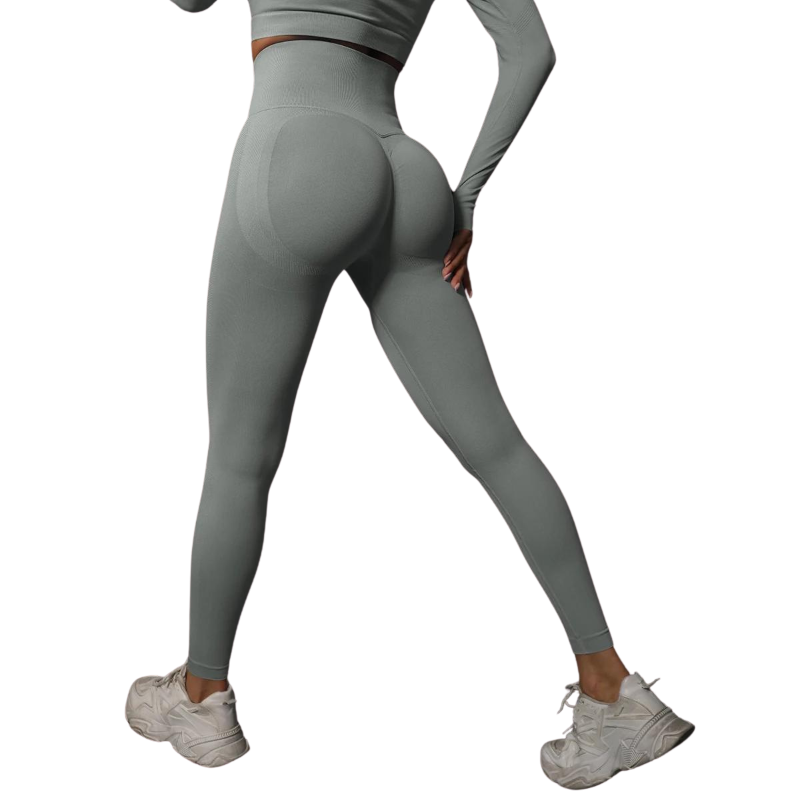 Women Seamless Gym Leggings - High Waist  and Booty Lifting
