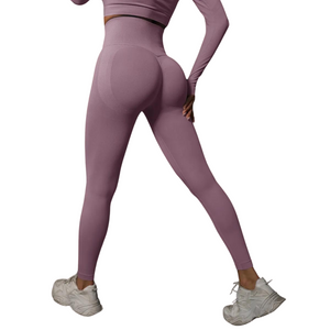 Women Seamless Gym Leggings - High Waist  and Booty Lifting