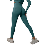 Women Seamless Gym Leggings - High Waist  and Booty Lifting