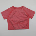 Women Seamless Workout Shirt - 9 Colors Vital
