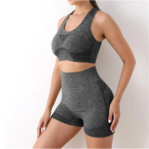 Workout Set - Shorts and Top