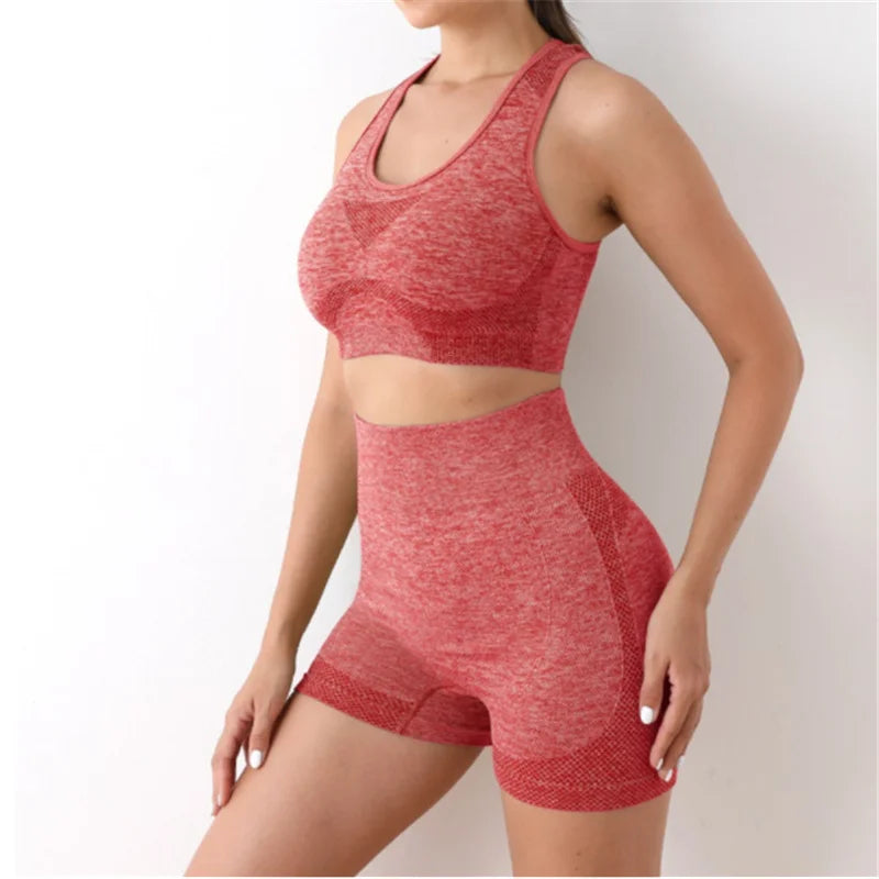 Workout Set - Shorts and Top
