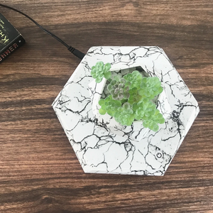 Levitating Flower Pot Grafic - Magnetic Suspension